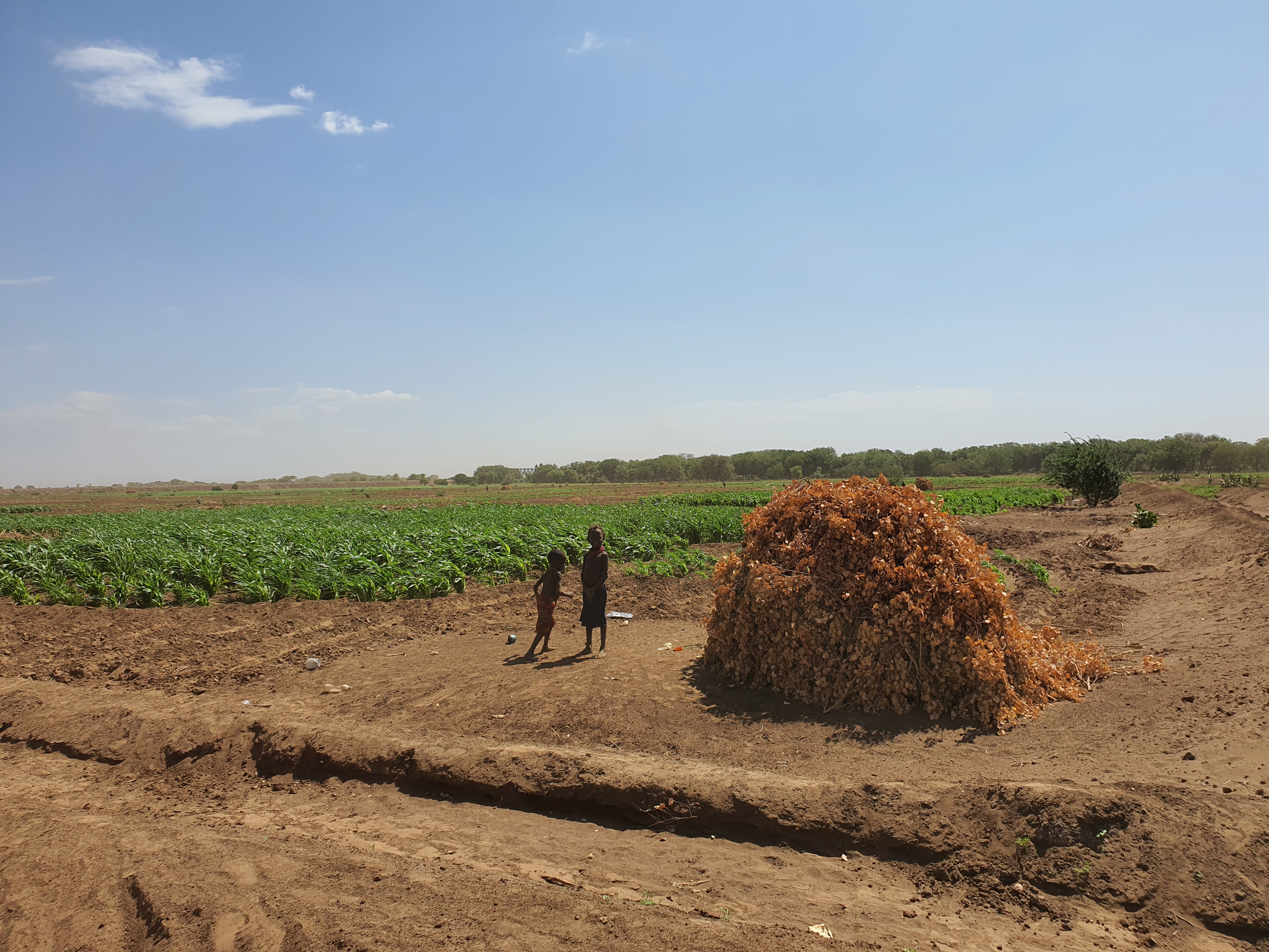 Platform digital en Éthiopie - Image 3